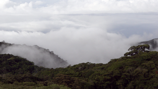 The War on Drugs Is a War on the Climate